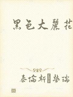 黑色大丽花图片