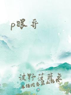 p眼哥