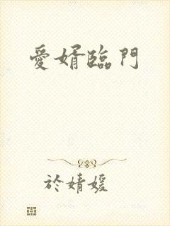 爱婿临门