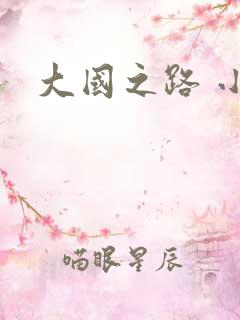 大国之路 小说