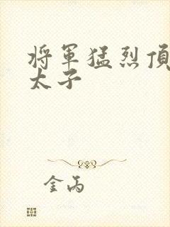 将军猛烈顶弄h太子