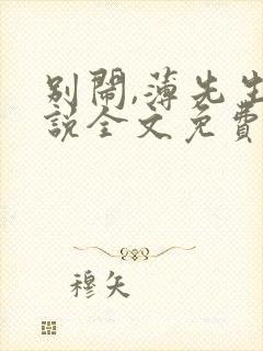 别闹,薄先生小说全文免费阅读