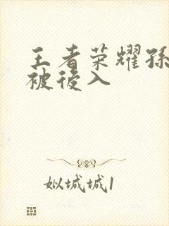 王者荣耀孙尚香被后入