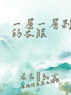 一层一层剥开你的衣服