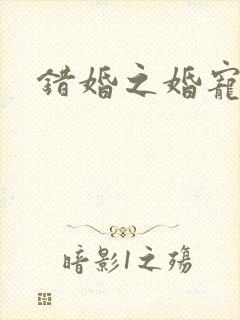 错婚之婚宠一世