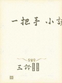 一把手 小说