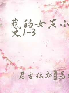 我的女友小洁全文1-3