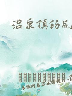 温泉镇的风流事