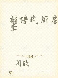 谁借我厨房第三季