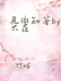 见微知著by音不在