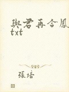 与君再合凤求凰txt