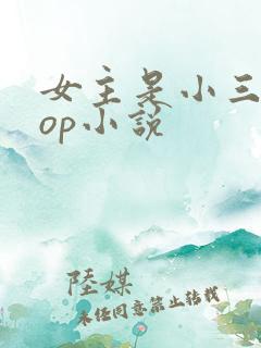 女主是小三的pop小说
