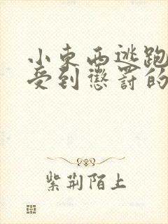 小东西逃跑是要受到惩罚的