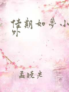 佳期如梦小说番外