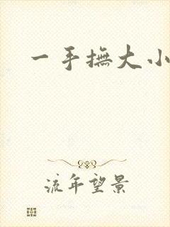 一手抚大小说