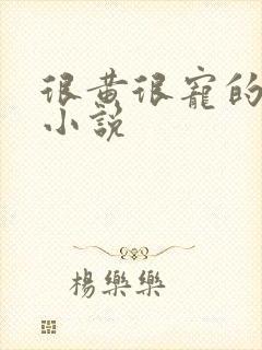 很黄很宠的总裁小说