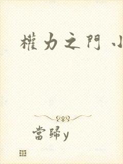 权力之门 小说