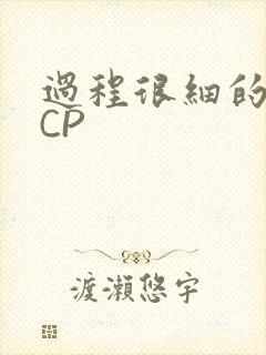 过程很细的开车CP