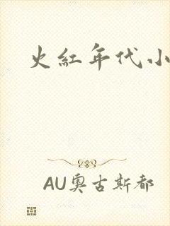 火红年代小说