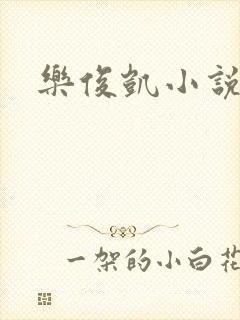 乐俊凯小说