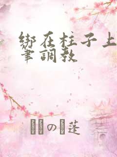 绑在柱子上用毛笔调教