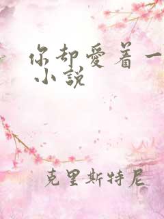 你却爱着一个他 小说