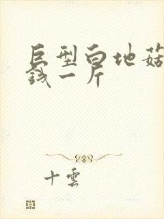 巨型白地菇多少钱一斤