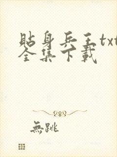 贴身兵王txt全集下载