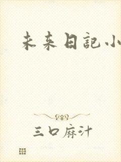 未来日记小说