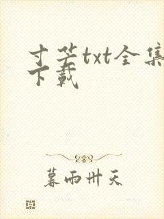 寸芒txt全集下载