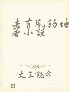 去有风的地方原著小说