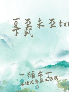 夏至未至txt下载