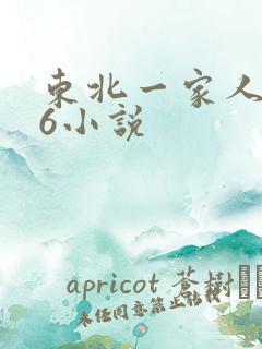 东北一家人1一6小说