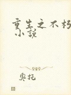 重生之不朽传奇 小说