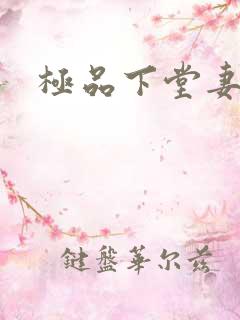 极品下堂妻