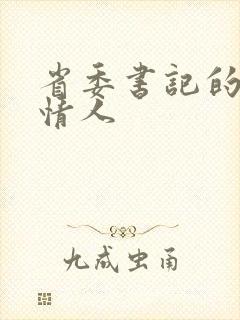 省委书记的秘密情人