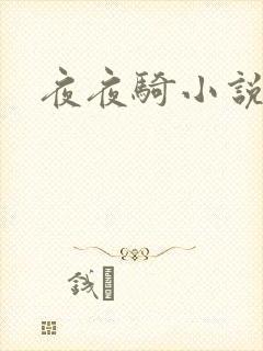 夜夜骑小说