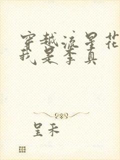 穿越流星花园之我是李真