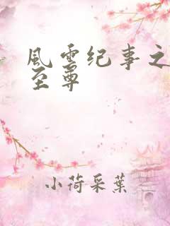 风云纪事之唯武至尊