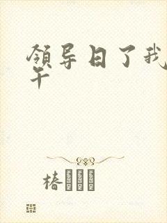 领导日了我一下午