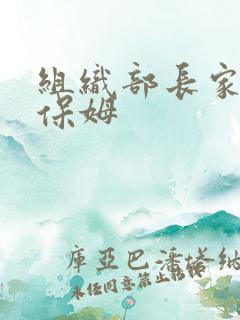 组织部长家的小保姆