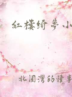 红楼绮梦小说