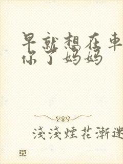 早就想在车里要你了妈妈