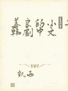 善良的小峓子2韩剧中文