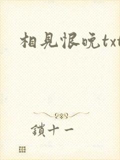相见恨晚txt