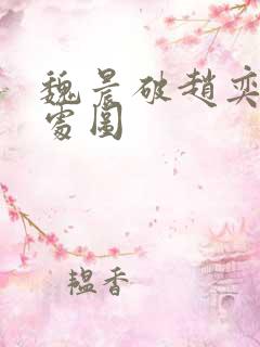 魏晨破赵奕欢的处图