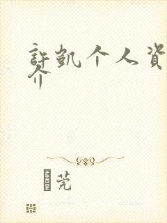 许凯个人资料简介