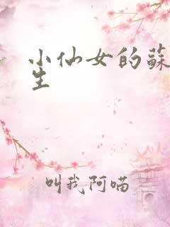 小仙女的苏撩先生