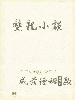 双龙小说