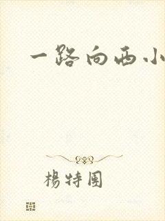 一路向西小说
